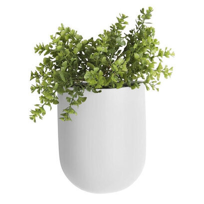 lif-wonen-0001wandpot-oval-mat-white-plant