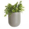 lif-wonen-0004wandpot-oval-warm-grey-plant