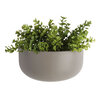 lif-wonen-0008wandpot-oval-wide-warm-grey-plant