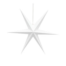 delight-department-kerststerren-2