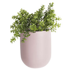 lif-wonen-0005wandpot-oval-light-pink-plant