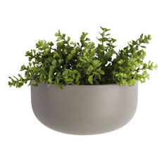 lif-wonen-0008wandpot-oval-wide-warm-grey-plant